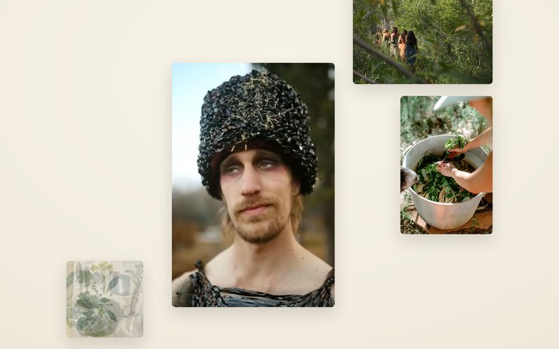 The Fiber page — a collage of naturally dyed garments, foragers in tall grass, and dye plants steeping in a basin.